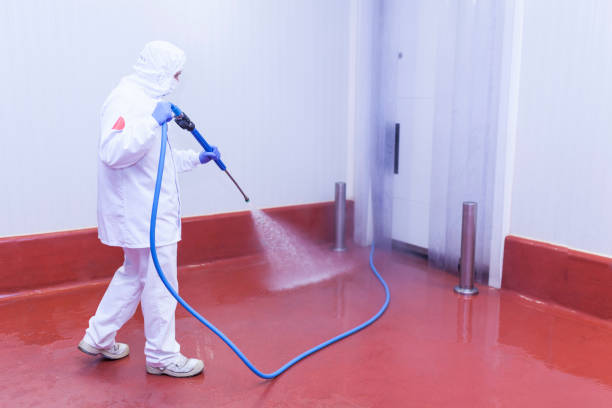 Best Warehouse Cleaning  in Parker City, IN